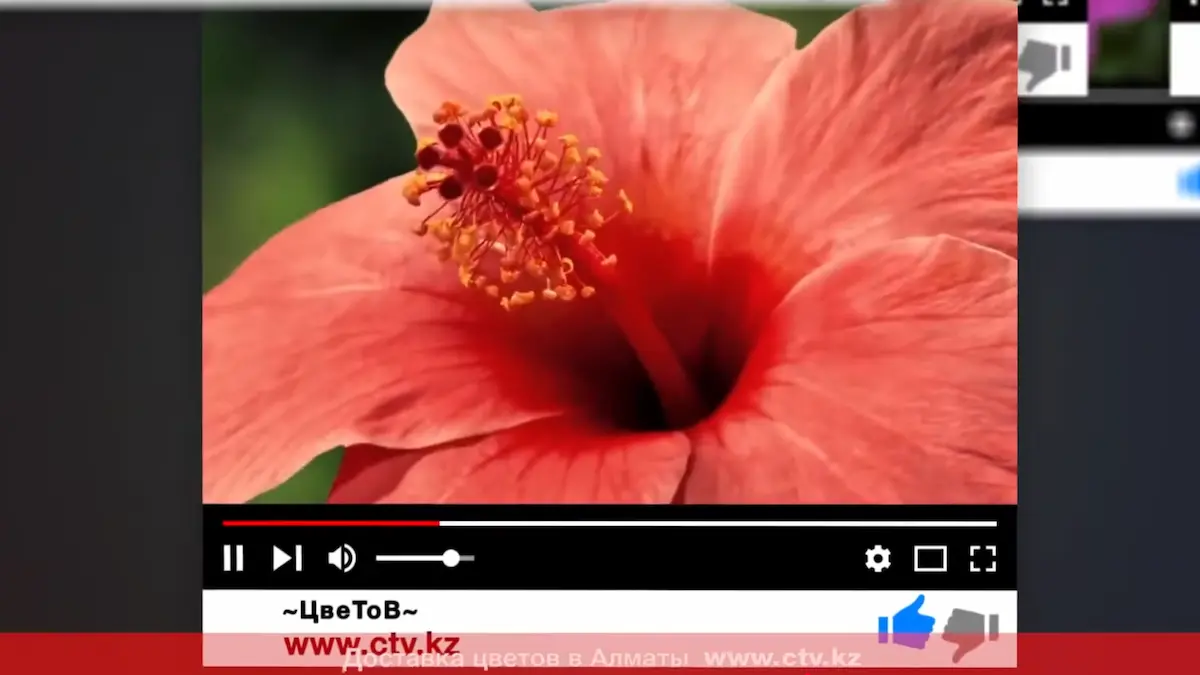 Создание слайдшоу